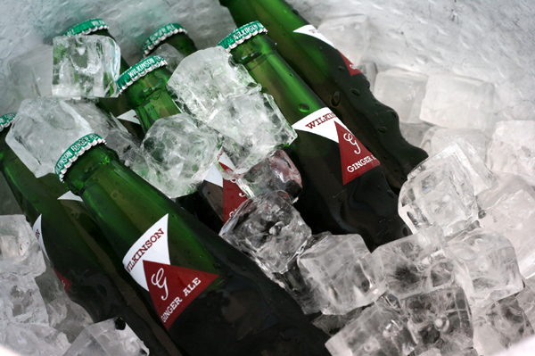 804 SA hamamatsu5 IMG_1958.jpg